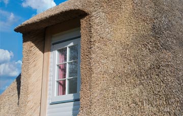 Martletwy thatch roof disadvantages
